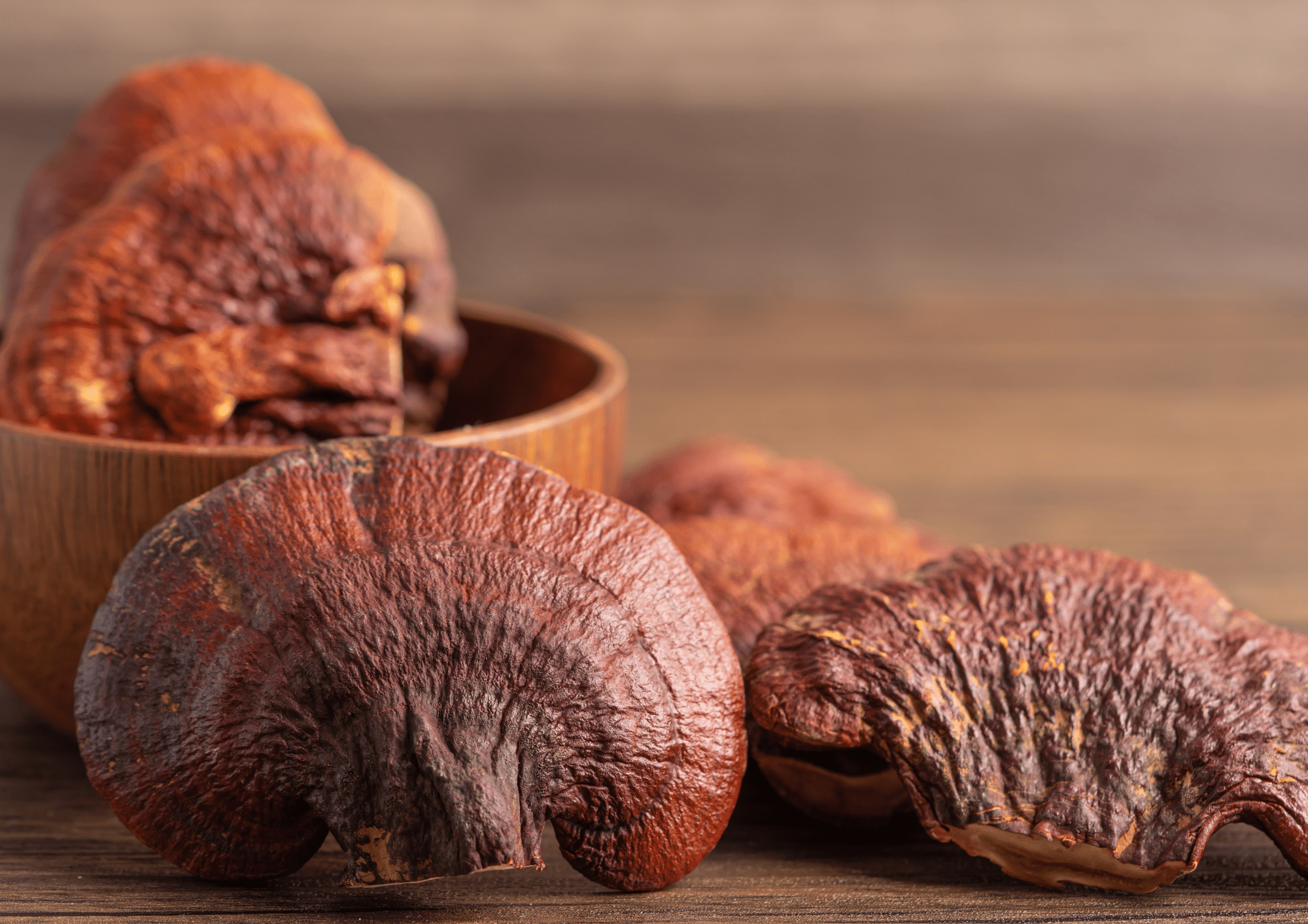 Qu’est-ce que les champignons adaptogènes ? 