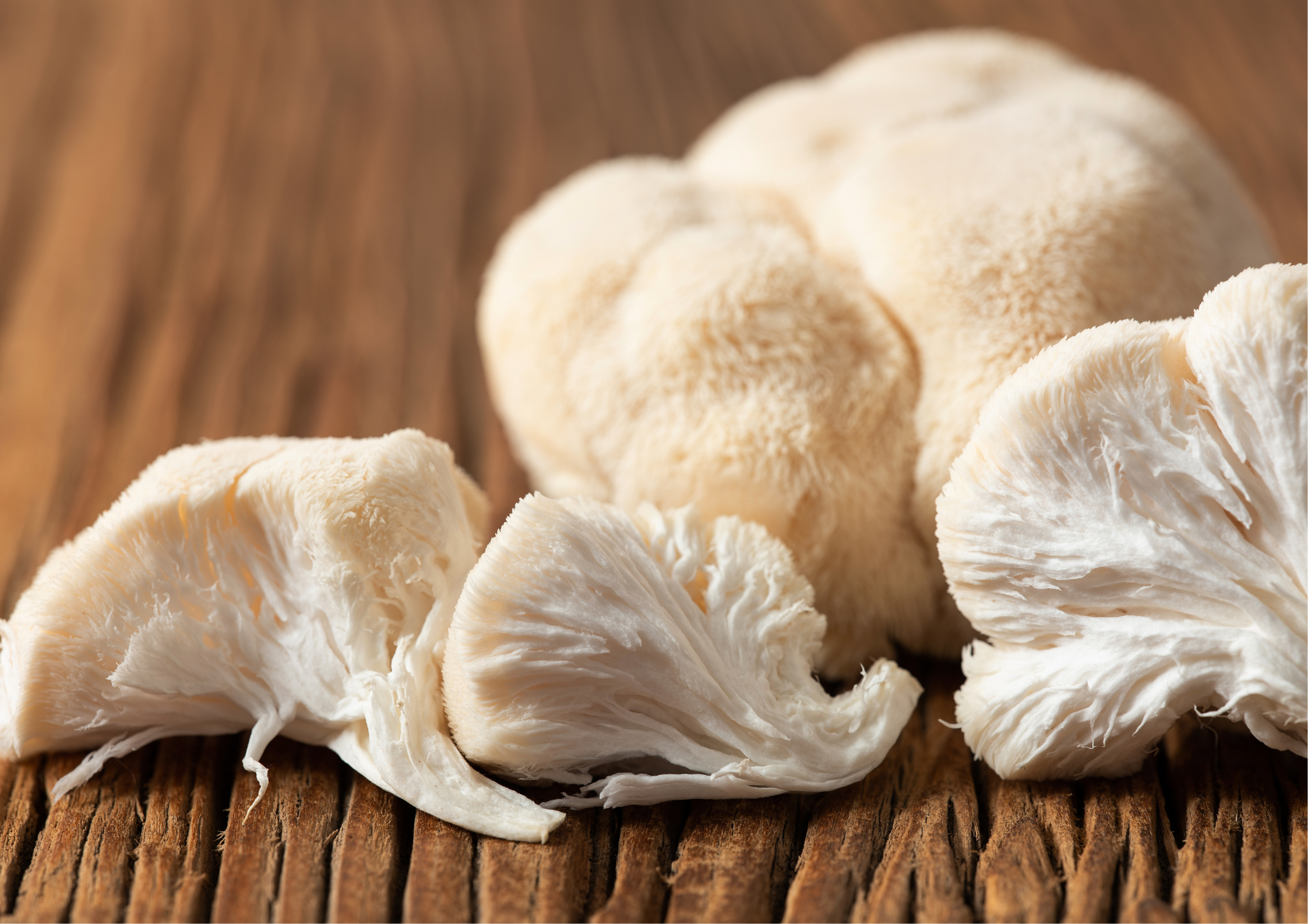 Lion’s Mane : combien de temps avant de ressentir les effets ?